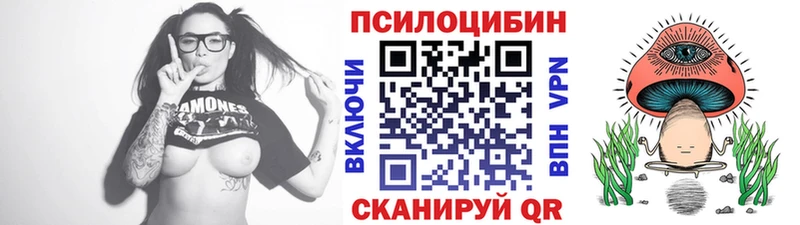 Псилоцибиновые грибы Psilocybine cubensis  Нарьян-Мар 